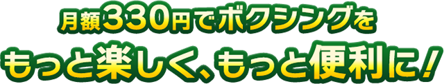 z330~Ń{NVOƊyAƕ֗ɁI