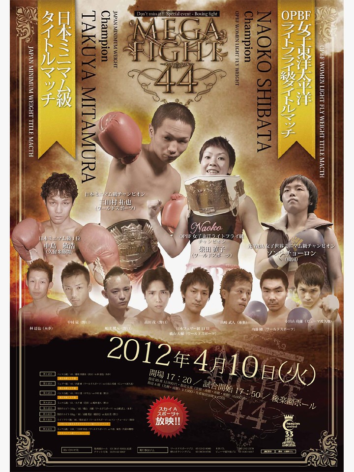 Mega Fightŉ!?