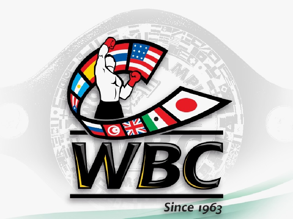 bZvsfBAX WBCtFU[퍇