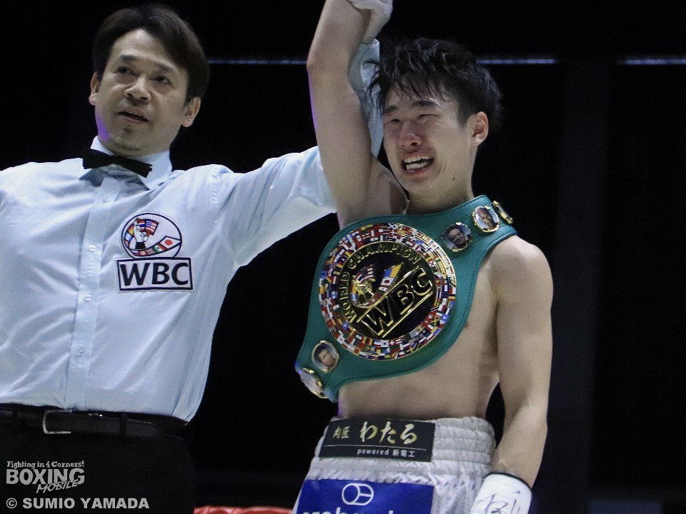 WBCuBOXER OF THE MONTHvɌlN!