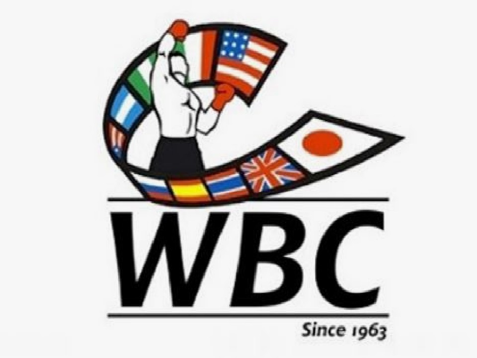 51WBCJ
