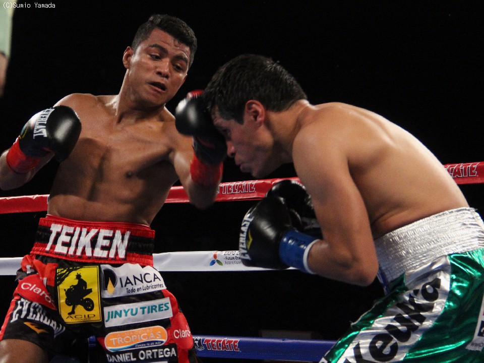 ロマゴンvsビロリアが決定