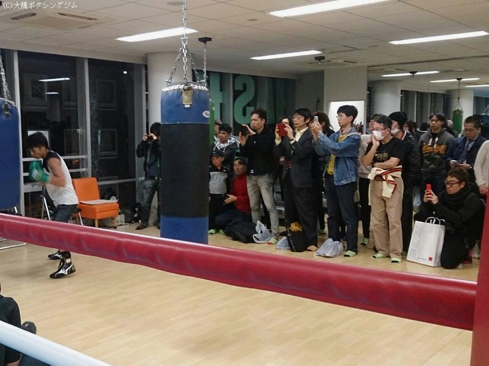 �V�����ɏ��ċ삯�����t�@����������