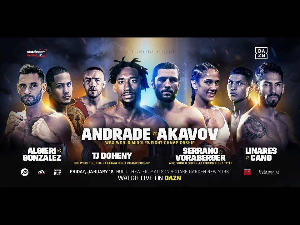 リナレス衝撃の試合結果&WBOミドル級戦