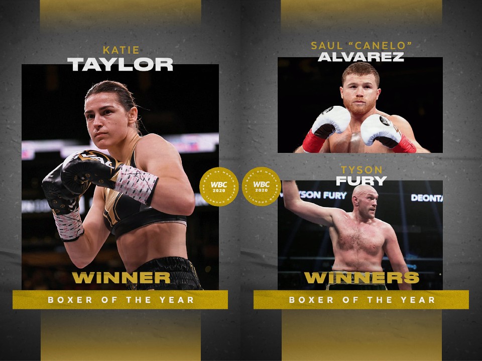 Boxer of the Year